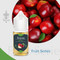 Themis Apple (30ML) Likit — 3MG