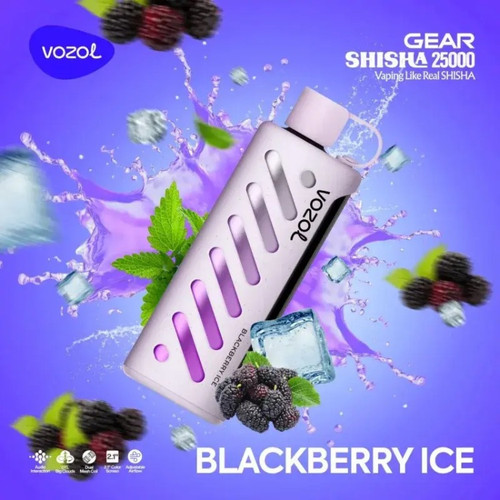 VOZOL GEAR 25000 Blackberry Ice