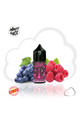 Nasty Salt Shisha Series - Grape Raspberry (30ML)