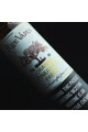 Ripe Vapes Orange Pineapple Freez (60ML) Likit