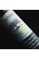 Ripe Vapes Orange Pineapple Freez (60ML) E-Likit