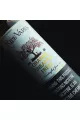Ripe Vapes Orange Pineapple Freez (60ML) E-Likit Ripe Vapes Orange Pineapple Freez (60ML) E-Likit